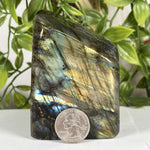 Labradorite Gmstone Freeform - RPS608