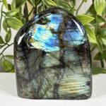 Labradorite Gemstone Freeform - RPS609