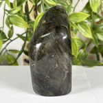 Labradorite Gemstone Freeform - RPS609