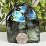 Labradorite Gemstone Freeform - RPS609