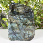 Labradorite Gemstone Freeform - RPS610