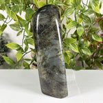 Labradorite Gemstone Freeform - RPS610