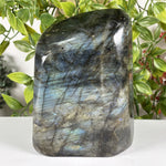 Labradorite Gemstone Freeform - RPS610