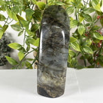 Labradorite Gemstone Freeform - RPS610