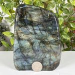 Labradorite Gemstone Freeform - RPS610