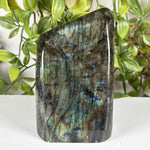 Labradorite Gemstone Freeform - RPS611