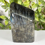 Labradorite Gemstone Freeform - RPS611