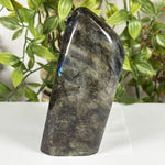 Labradorite Gemstone Freeform - RPS611