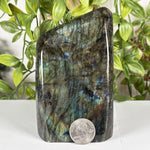Labradorite Gemstone Freeform - RPS611