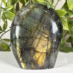 Labradorite Gemstone Freeform - RPS612