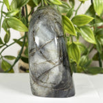 Labradorite Gemstone Freeform - RPS612