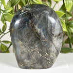 Labradorite Gemstone Freeform - RPS612