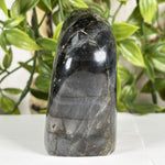 Labradorite Gemstone Freeform - RPS612