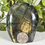 Labradorite Gemstone Freeform - RPS612