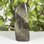 Labradorite Gemstone Freeform - RPS613