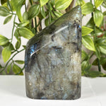 Labradorite Gemstone Freeform - RPS613