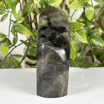 Labradorite Gemstone Freeform - RPS613