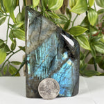 Labradorite Gemstone Freeform - RPS613
