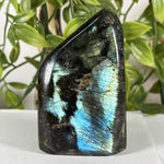 Labradorite Gemstone Freeform - RPS615