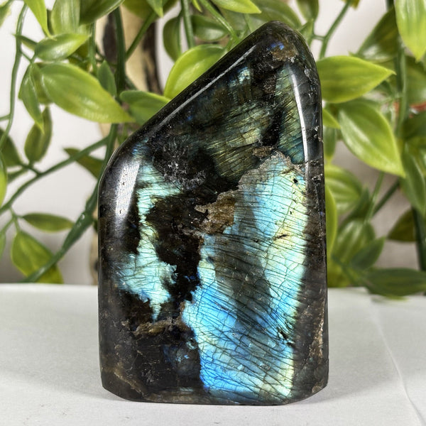 Labradorite Gemstone Freeform - RPS615