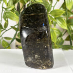 Labradorite Gemstone Freeform - RPS615