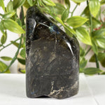 Labradorite Gemstone Freeform - RPS615