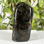 Labradorite Gemstone Freeform - RPS615