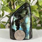 Labradorite Gemstone Freeform - RPS615