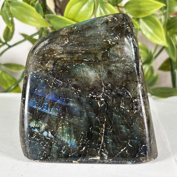 Labradorite Gemstone Freeform - RPS616