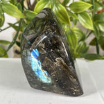 Labradorite Gemstone Freeform - RPS616