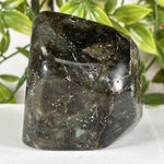 Labradorite Gemstone Freeform - RPS616