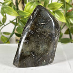 Labradorite Gemstone Freeform - RPS616