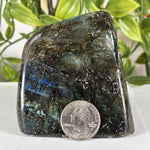 Labradorite Gemstone Freeform - RPS616