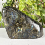Labradorite Gemstone Freeform - RPS617