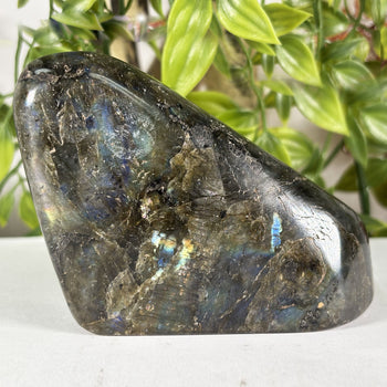 Labradorite Gemstone Freeform - RPS617