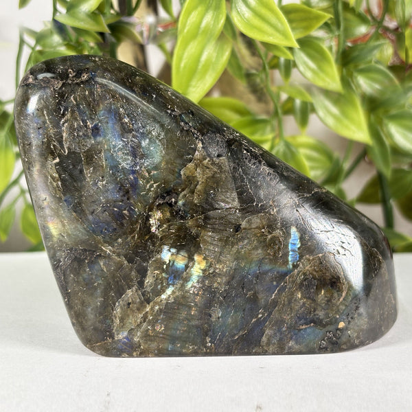 Labradorite Gemstone Freeform - RPS617