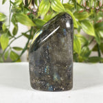 Labradorite Gemstone Freeform - RPS617