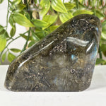 Labradorite Gemstone Freeform - RPS617