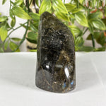 Labradorite Gemstone Freeform - RPS617
