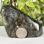 Labradorite Gemstone Freeform - RPS617
