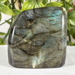 Labradorite Gemstone Freeform - RPS618