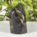 Labradorite Gemstone Freeform - RPS618