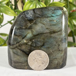 Labradorite Gemstone Freeform - RPS618