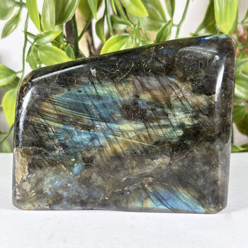 Labradorite Gemstone Freeform - RPS619