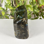 Labradorite Gemstone Freeform - RPS619