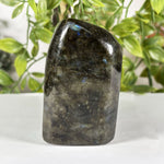 Labradorite Gemstone Freeform - RPS619