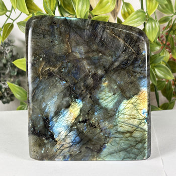 Labradorite Gemstone Freeform - RPS620