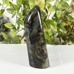 Labradorite Gemstone Freeform - RPS620