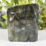 Labradorite Gemstone Freeform - RPS620