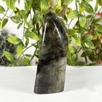 Labradorite Gemstone Freeform - RPS620
